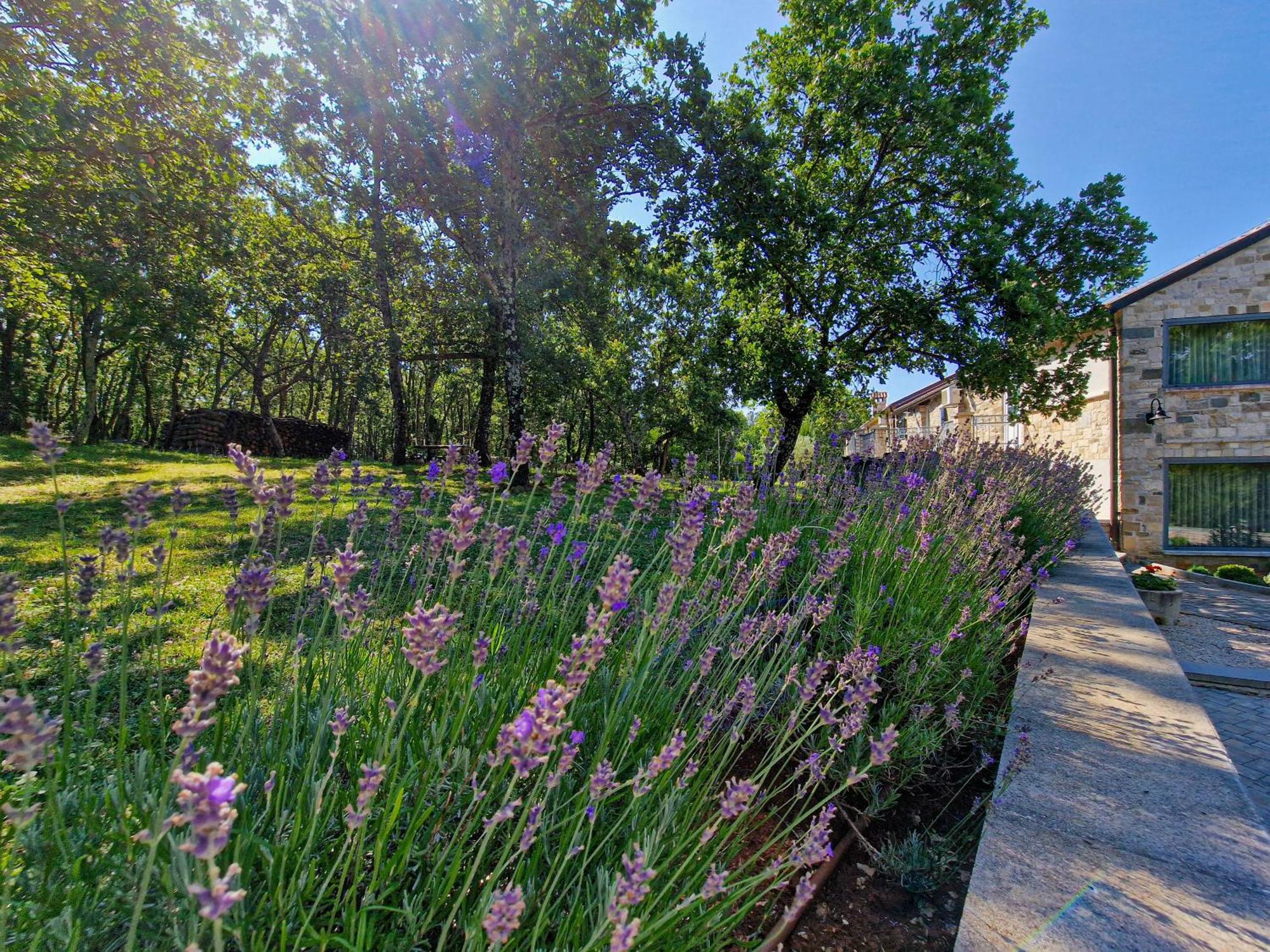 Stancija Ruseti Bed & Breakfast Oprtalj Eksteriør bilde